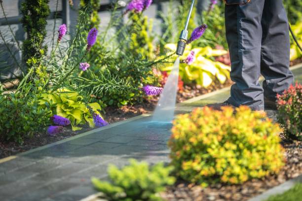Best Sidewalk and Walkway Cleaning  in Brielle, NJ